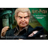 Harry Potter - Wormtail (Peter Pettigrew) figure ver. Classic or Deluxe, My Favourite Movie