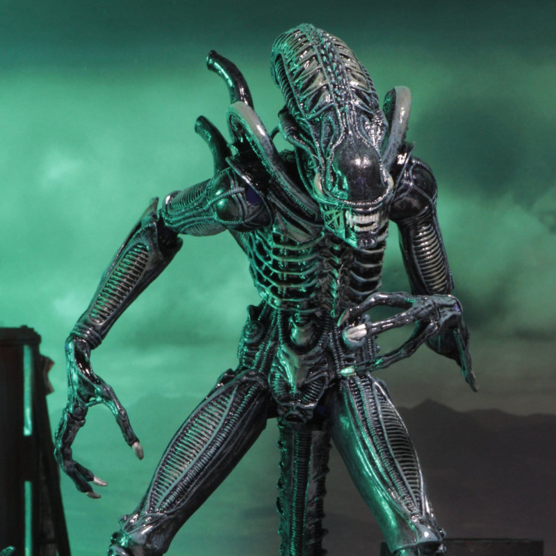 PRÉCOMMANDE - Aliens (1986) - Figurine Warrior Blue, Ultimate