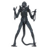 PRÉCOMMANDE - Aliens (1986) - Figurine Warrior Blue, Ultimate