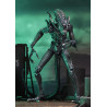 PRÉCOMMANDE - Aliens (1986) - Figurine Warrior Blue, Ultimate