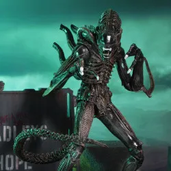 PRÉCOMMANDE - Aliens (1986)...