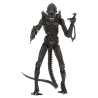 PREORDER - Aliens (1986) - Warrior Brown figure, Ultimate