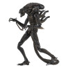 PRÉCOMMANDE - Aliens (1986) - Figurine Warrior Brown, Ultimate