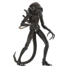 PREORDER - Aliens (1986) - Warrior Brown figure, Ultimate