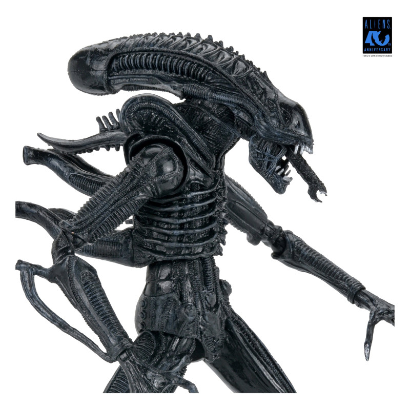 PREORDER - Aliens (1986) - Warrior Xenomorph Black figure (40th Anniversary), Ultimate