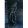 PRÉCOMMANDE - Aliens (1986) - Figurine Warrior Xenomorph Black (40th Anniversary), Ultimate