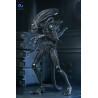 PREORDER - Aliens (1986) - Warrior Xenomorph Black figure (40th Anniversary), Ultimate