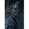 PREORDER - Aliens (1986) - Warrior Xenomorph Black figure (40th Anniversary), Ultimate