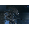 PRÉCOMMANDE - Aliens (1986) - Figurine Warrior Xenomorph Black (40th Anniversary), Ultimate