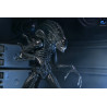 PRÉCOMMANDE - Aliens (1986) - Figurine Warrior Xenomorph Black (40th Anniversary), Ultimate