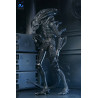 PRÉCOMMANDE - Aliens (1986) - Figurine Warrior Xenomorph Black (40th Anniversary), Ultimate