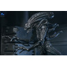 PREORDER - Aliens (1986) - Warrior Xenomorph Black figure (40th Anniversary), Ultimate
