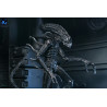 PREORDER - Aliens (1986) - Warrior Xenomorph Black figure (40th Anniversary), Ultimate