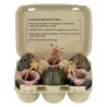 Aliens - Figurine Carton of 6 Alien Eggs, (40th Anniversary)
