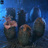 Aliens - Figurine Carton of 6 Alien Eggs, (40th Anniversary)