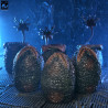 Aliens - Figurine Carton of 6 Alien Eggs, (40th Anniversary)