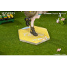 PRÉCOMMANDE - Arknights - Figurine Amiya Wildlight Wander, Gift+