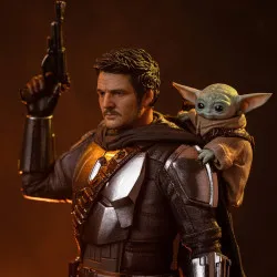 PRE ORDER - The Mandalorian...