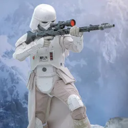 Star Wars: The Mandalorian...