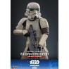 PREORDER - Star Wars: The Mandalorian & Grogu - Imperial Remnant Stormtrooper figure (Deluxe), Movie Masterpiece