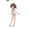 The Ryuo's Work is Never Done! - Ai Hinatsuru figure ver. Swimsuit