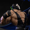 DC Comics - Figure Batman vs Bane, diorama