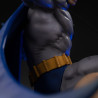 DC Comics - Figure Batman vs Bane, diorama