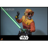 PREORDER - Star Wars: Rebels - Ezra Bridger figure, Television Masterpiece