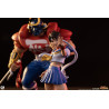 PRÉCOMMANDE - Street Fighter - Pack 2 figurines Sakura & Sodom, Street Jam