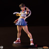 PREORDER - Street Fighter - Pack 2 figures Sakura & Sodom, Street Jam