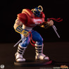 PREORDER - Street Fighter - Pack 2 figures Sakura & Sodom, Street Jam