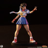 PRÉCOMMANDE - Street Fighter - Pack 2 figurines Sakura & Sodom, Street Jam