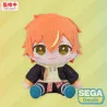Hatsune Miku: Colorful Stage! - Peluche Akito Shinonome S, Mysekai