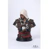 Assassin's Creed : Black Flag Remake - Edward Kenway bust