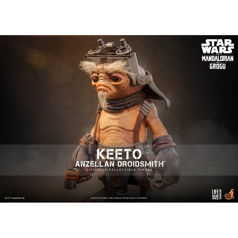 PREORDER - Star Wars: The...