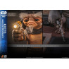 PREORDER - Star Wars: The Mandalorian & Grogu - Keeto (Anzellan Droidsmith) figure, Life-Size Masterpiece