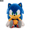 Plush of your choice, Sonic the Hedgehog or Tails, Phunny
