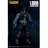 DC Comics, Injustice : Gods Among Us - Figurine Lobo