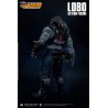 DC Comics, Injustice : Gods Among Us - Figurine Lobo