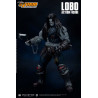 DC Comics, Injustice : Gods Among Us - Figurine Lobo