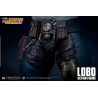DC Comics, Injustice : Gods Among Us - Figurine Lobo