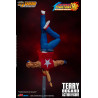 The King of Fighters '98 : Ultimate Match - Figurine Terry Bogard