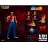 The King of Fighters '98 : Ultimate Match - Terry Bogard figure