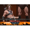 PRÉCOMMANDE - Masters of the Universe - Figurine He-Man, Movie Masterpiece
