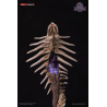 PRÉCOMMANDE - Serpent Kin - Figurine Calamity