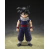 PRE ORDER - Dragon Ball Z - Son Gohan figure (Z-Fighters) (Limited Edition Z-Fighters Group Base Ver. A), S.H.Figuarts