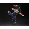 PRÉCOMMANDE - Dragon Ball Z - Figurine Son Gohan (Z-Fighters) (Limited Edition Z-Fighters Group Base Ver. A), S.H.Figuarts