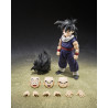 PRE ORDER - Dragon Ball Z - Son Gohan figure (Z-Fighters) (Limited Edition Z-Fighters Group Base Ver. A), S.H.Figuarts
