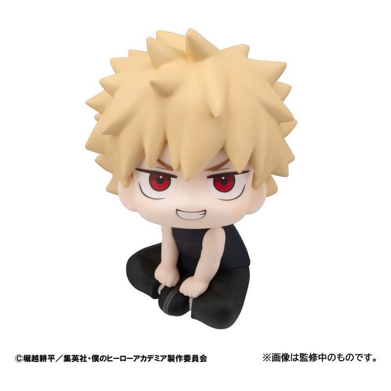 PREORDER - My Hero Academia...