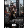 Star Wars The Mandalorian - Figure The Mandalorian or IG-11